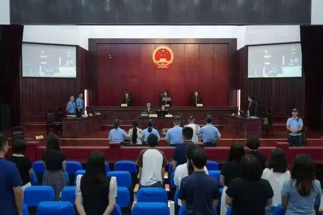 夫妻假扮熊猫粉造谣敛财被判刑