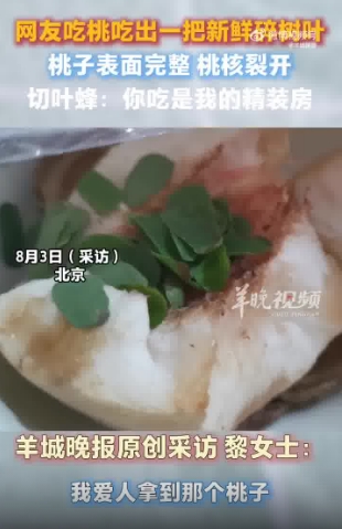 微信截图_20250805095232