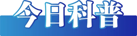 广东惠阳淡水河决堤？不实