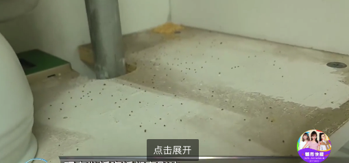 当心！西安一小区蚂蚁泛滥物业急寻灭蚁之术