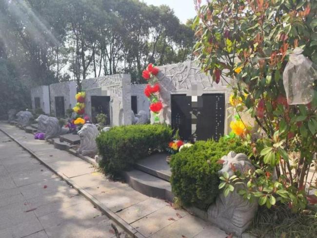 江苏有超规格豪华公墓？当地回应