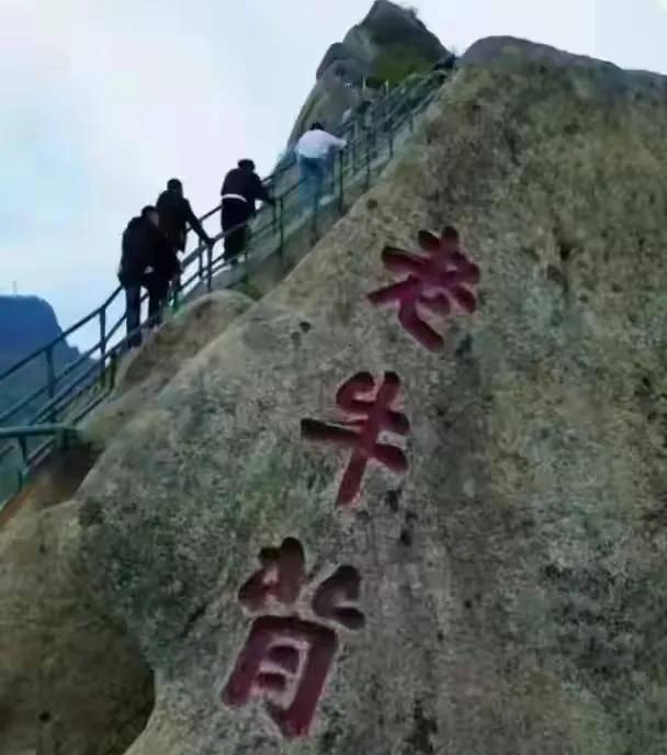 游客爬上石柱坠崖身亡家属索赔 景区防护栏引争议