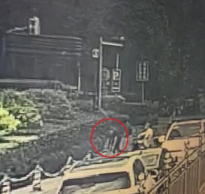 护士下班路上救大伯一命“我是护士！”