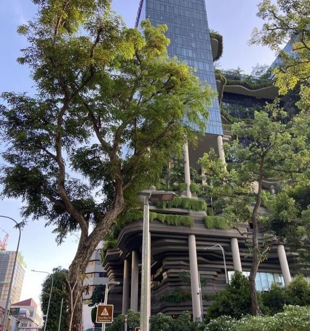 印度高温致命！中国植树调水救急 中印应对策略对比显著