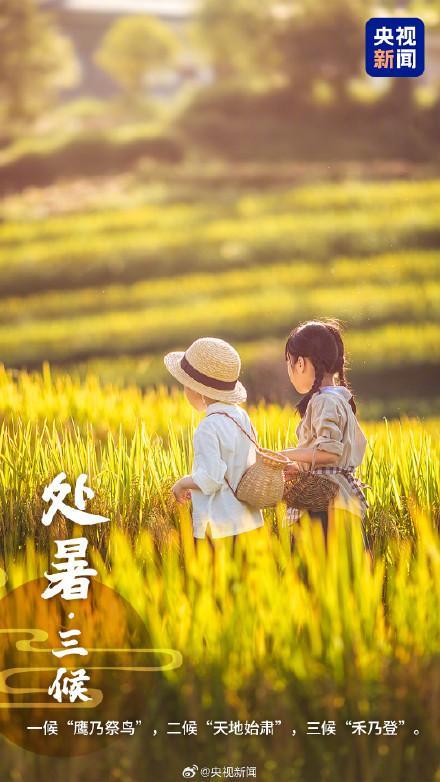 一觉醒来和夏天告别了