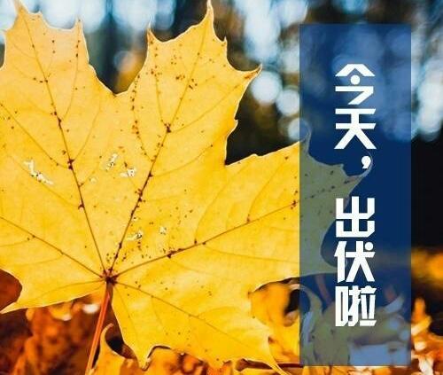 今日三伏天最后一天 有啥征兆？