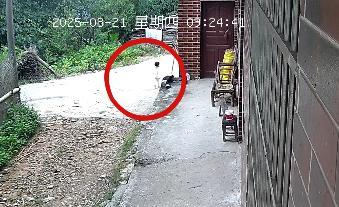 2岁女童家门口失踪被找回父亲发声 感激社会各界救援