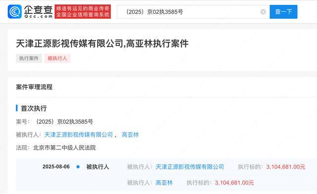 高亚麟及关联公司被强制执行310万余元