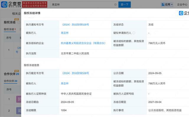 高亚麟及关联公司被强制执行310万余元