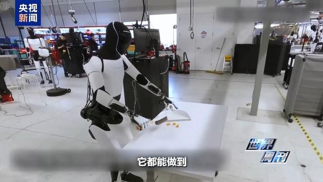美国退休教授喜提AI伴侣 人类未来的生活搭子：机器人？