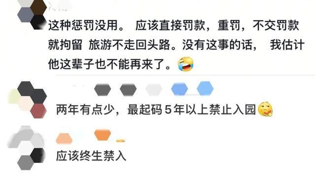 男子冲上舞台扰乱演出 上海迪士尼：2年禁入
