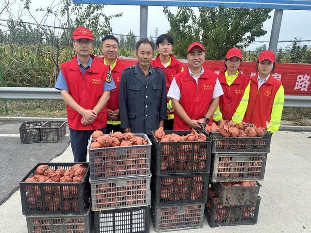 商丘高速人五年助农路 梨香满心怀