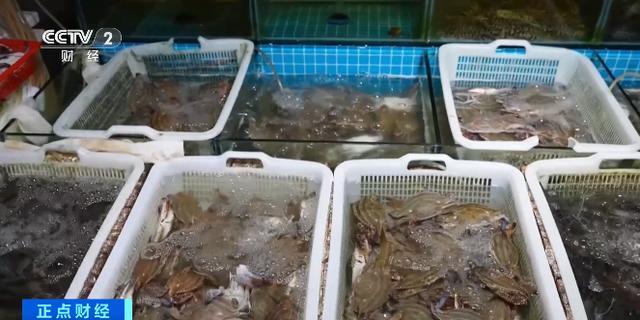 批量上市！你爱吃的它，大降价