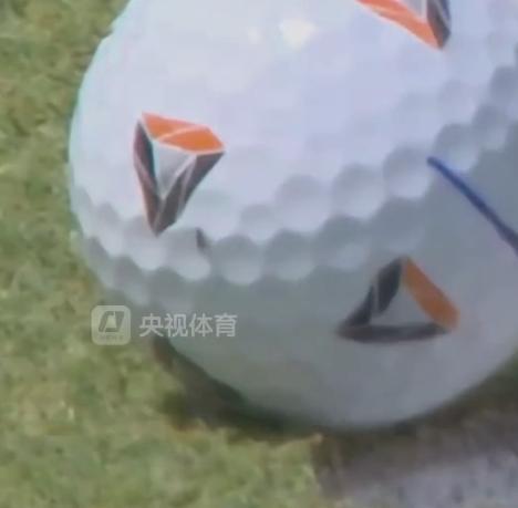一只苍蝇助攻高尔夫名将赢百万奖金
