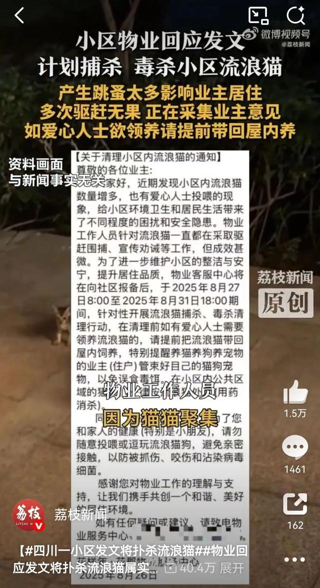 一小区物业发文：将捕杀流浪猫