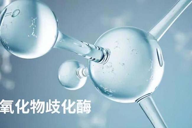 “老人味”的祸首被揪出 医生提醒 少吃高温油