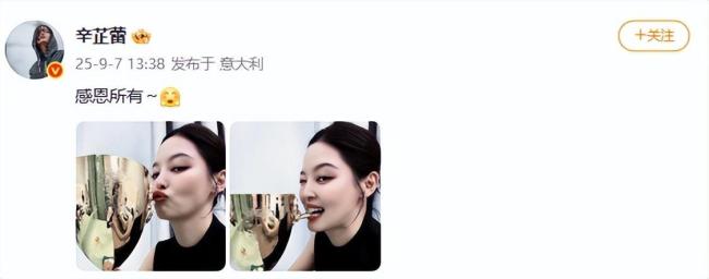 辛芷蕾是被甄子丹团队挖掘的