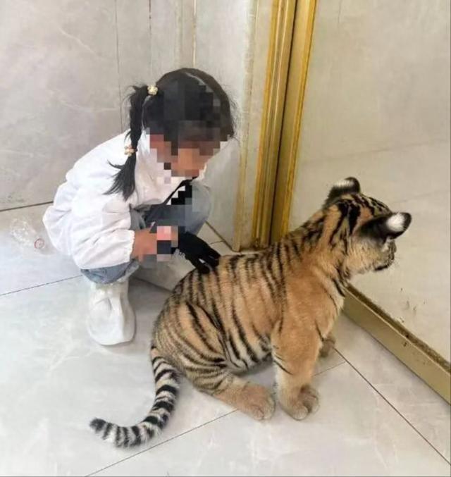 景区通报7岁女童被小老虎咬伤