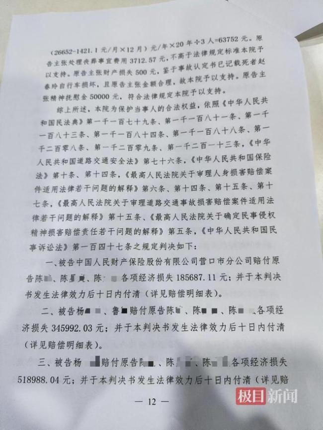 60岁母亲被14岁少年驾车撞亡 赔偿款拖欠引争议