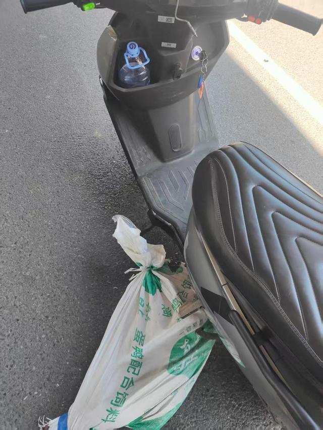 跑腿骑手送鳄鱼 半道发现是活的