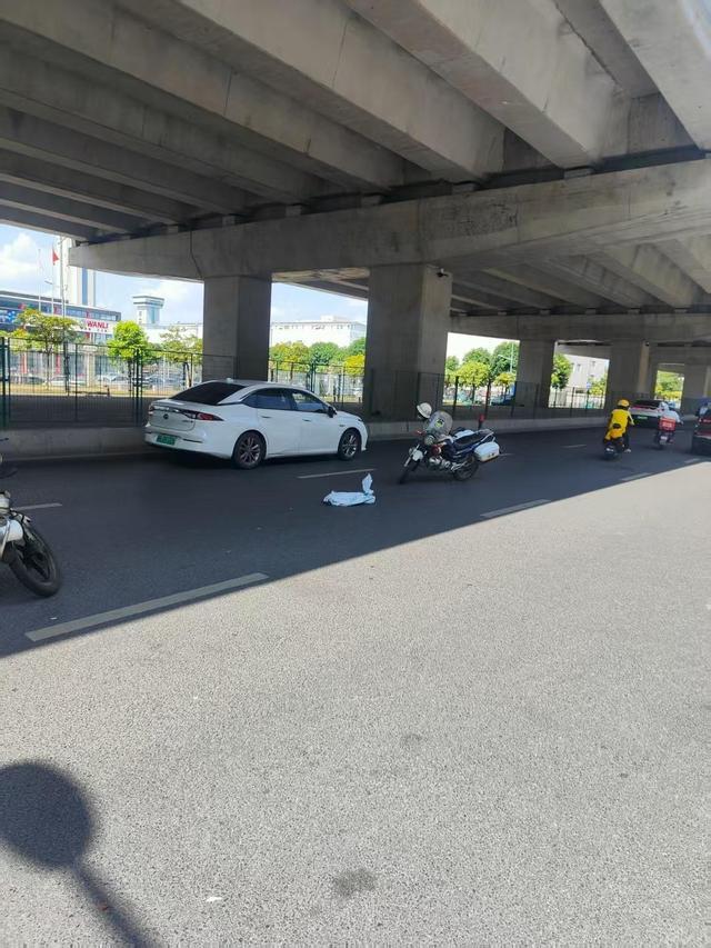 跑腿骑手送鳄鱼 半道发现是活的