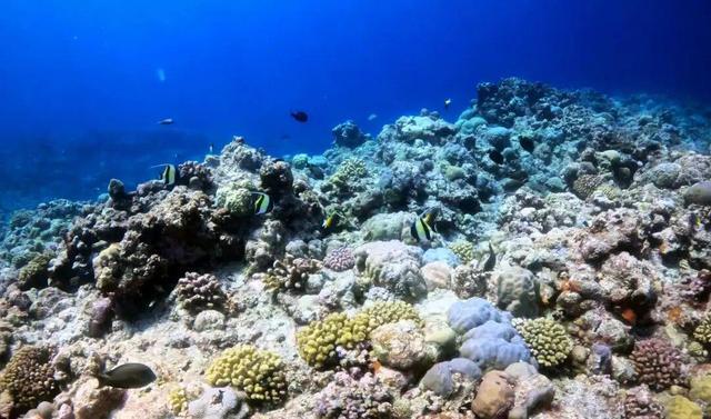 中国在南海行政管理进入新阶段